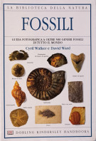 Fossili