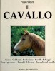 Il cavallo Razze-Celebrità-Evoluzione-Cavalli Selvaggi-Cura e governo-I cavalli al lavoro-La scelta del cavallo
