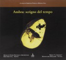 Ambra scrigno del tempo
