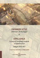 <h0>Domus Aemilia <Span><i>Lo scavo di Tassignano Aeroporto a Capannori <span>Indagini 2014-2017 </i></span></h0>