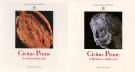 Civitas Penne (2 Voll.) La Città Medievale Il Medioevo delle arti