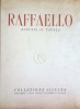 Raffaello Dipinti su Tavola