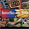 Butterflies Of The World