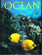 <h0>Ocean <span><i>Photographs from the World's Greatest Underwater Photographers</i></span></h0>