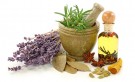 Herbal medicine, Health and Medicine