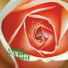 <h0>A Rose <span><i>Is a rose <span>Is a rose</i></span></h0>