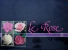 Le Rose