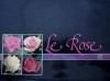 Le Rose