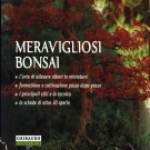 Meravigliosi bonsai