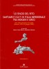 Lo Spazio del Rito Santuari e Culti in Italia Meridionale Tra Indigeni e Greci.