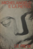 Michelangelo e la Pietra Le Pietà