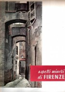 Aspetti Minori di Firenze