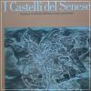 I Castelli del Senese Strutture fortificate dell'area senese-grossetana