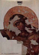 Firenze Salvata