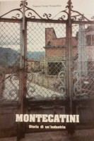 <h0>Montecatini <span><i>Storia di un industria</i></span></h0>