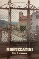 Montecatini Storia di un industria