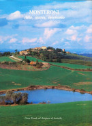 Monteroni Arte, storia, territorio