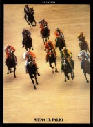 Siena | Il Palio