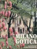 Milano Gotica