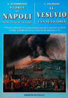 <h0>Storia di Napoli <span><i>dalle origini ad oggi </i></span>Il Vesuvio <span><i>e la sua storia</i></span></h0>