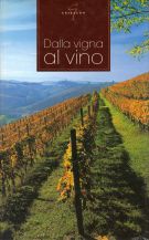 Dalla Vigna al Vino