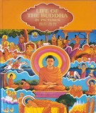 Life of the Buddha in pictures
