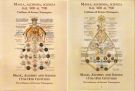Magia, Alchimia, Scienza dal '400 al '700 L'influsso di Ermete Trismegisto (2 Vol)