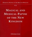 Magical and Medical Papyri of the New Kingdom Hieratic Papyri in the British Museum Vol.7