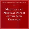Magical and Medical Papyri of the New Kingdom Hieratic Papyri in the British Museum Vol.7